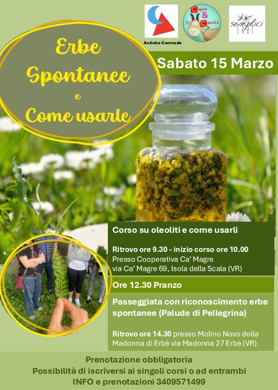 Immagine WhatsApp 2025-02-02 ore 21.03.18_2b528cc1